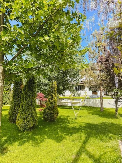 Therme - Corbeanca By The Lake Luxury Villa Exterior photo